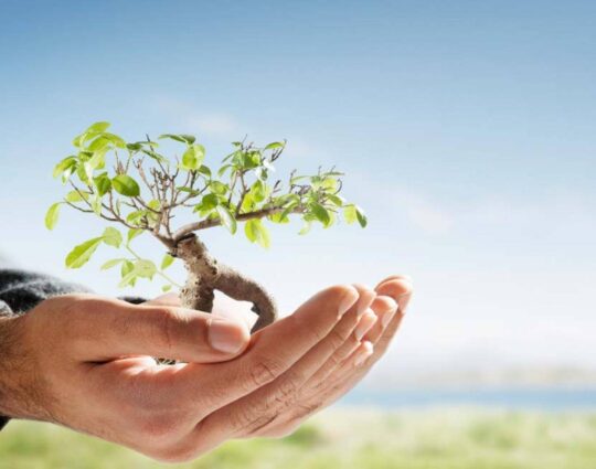ISO-14001-Certified-new york