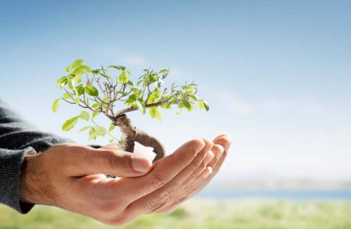 ISO-14001-Certified-new york ISO-14001-Certified-new york